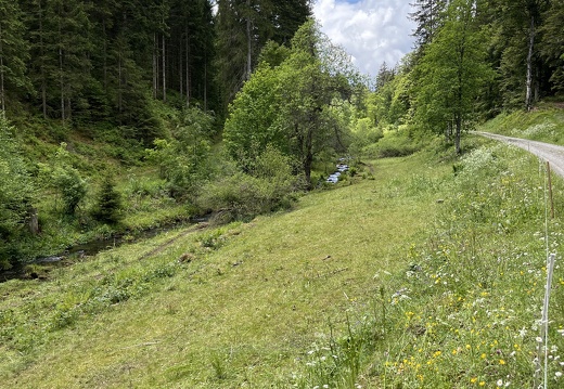 22-05-29 12-47-33 0965